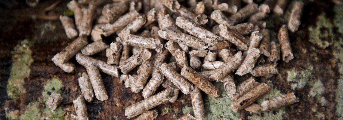 Wood pellets from GoodFuel in Barnstaple. Delivery across Cornwall, Somerset and Dorset.